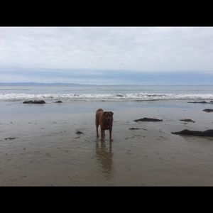 Meet your Posher, Jill