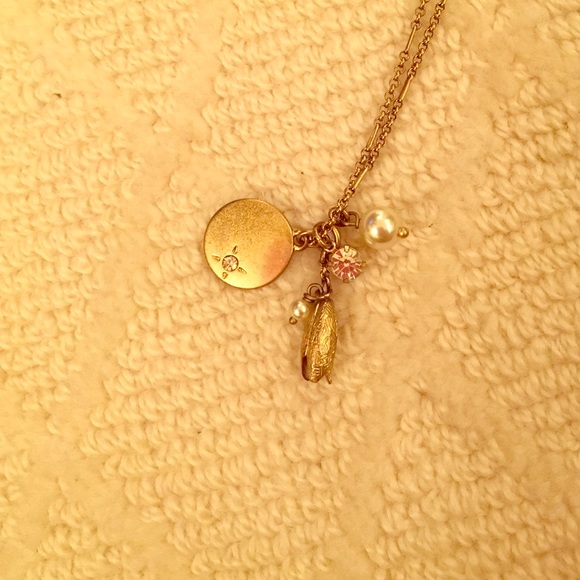 Long Jcrew necklace with charms