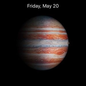 Meet your Posher, Bonnie