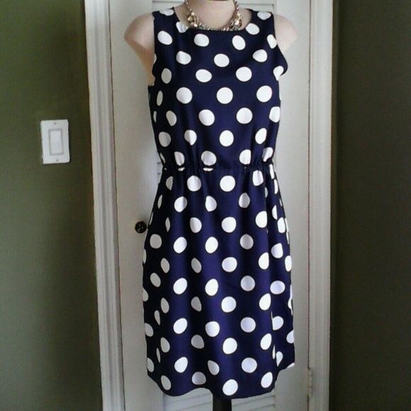 J CREW Polka Dot Navy Dress - Picture 3 of 3