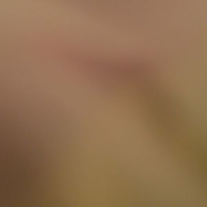 Meet your Posher, Samuel