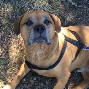 Meet your Posher, Brooke