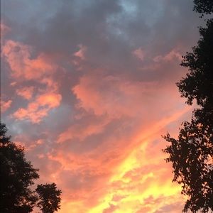 Meet your Posher, Liv