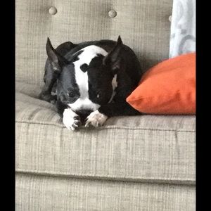 Meet your Posher, Tracy