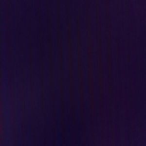 Meet your Posher, Darrik