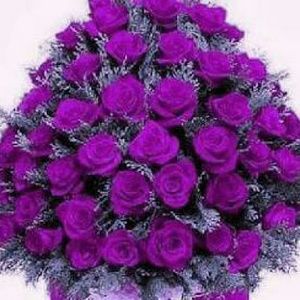 Meet your Posher, Lorraine