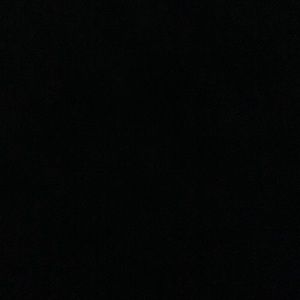 Meet your Posher, Lulu