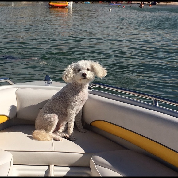 Meet your Posher, Nancy M (diamondmnm) since 3/13 - Picture 5 of 5