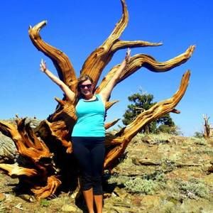 Meet your Posher, Ally