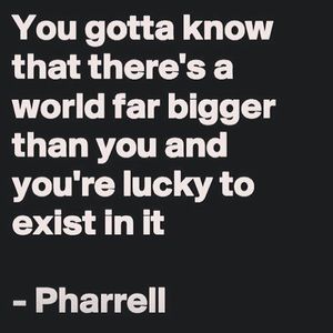 Meet your Posher, Patty