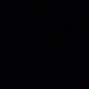 Meet your Posher, Alfredo