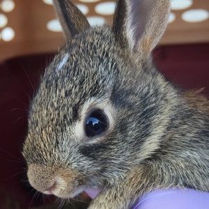 Meet your Posher, Beth