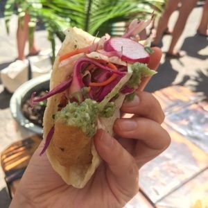 Meet your Posher, Ally