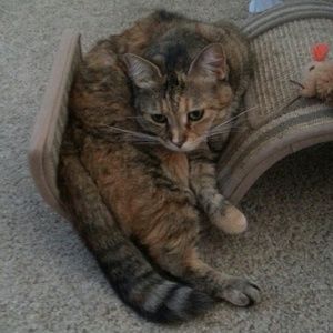 Meet your Posher, Eileen