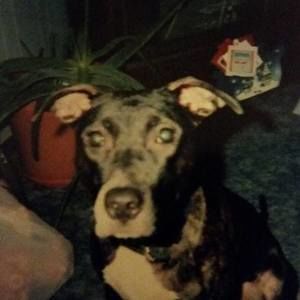 Meet your Posher, Vonda