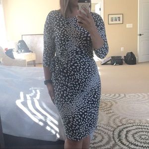 Ann Taylor animal dress
