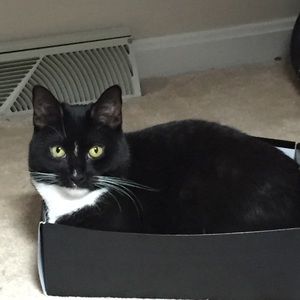 Meet your Posher, Jackie