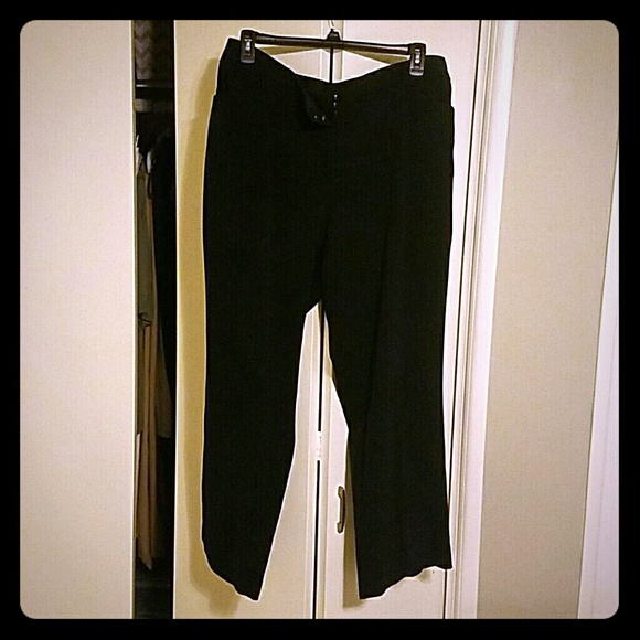 Wide Leg Dress Pants