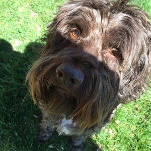 Meet your Posher, Mary