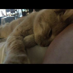 Meet your Posher, Janet