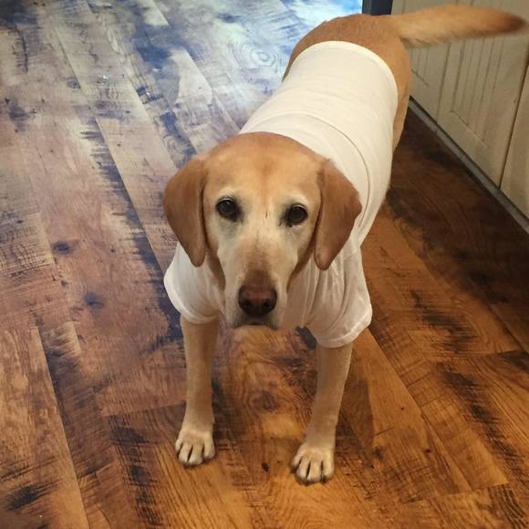 Meet your Posher, Pam - Picture 1 of 1