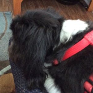 Meet your Posher, Sandra