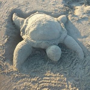 Meet your Posher, Alexa