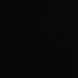 Meet your Posher, Chandler