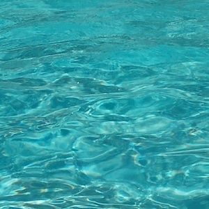 Meet your Posher, Simone