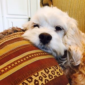 Meet your Posher, Alexandra