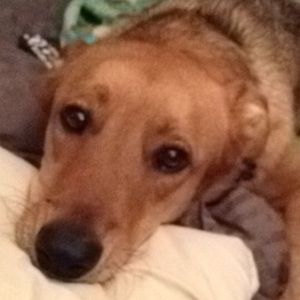 Meet your Posher, Bethany