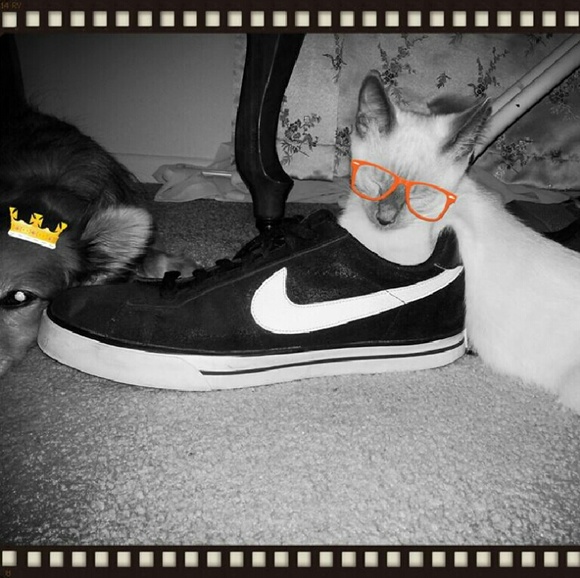 Meet your Posher, Lynne ββπ΄ - Picture 4 of 4