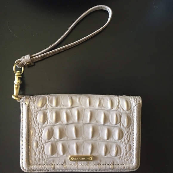 brahmin debi wallet