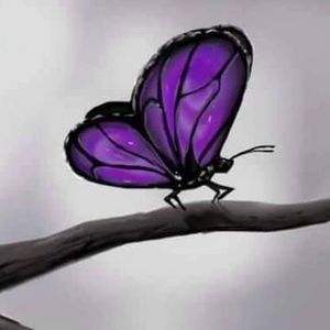 Meet your Posher, Melody