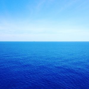 Meet your Posher, Amberlynn