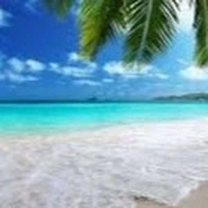 Meet your Posher, Kathleen