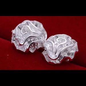 🎉SALE🎉Sterling silver plated Earrings