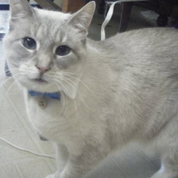 Meet your Posher, Zoe