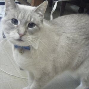 Meet your Posher, Zoe