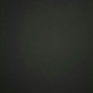 Meet your Posher, Phillip