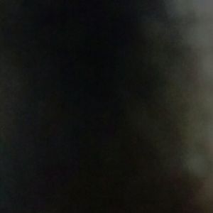 Bundle for Lopez2010