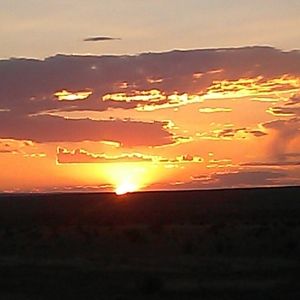 Meet your Posher, Ellen