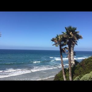 Meet your Posher, Annika