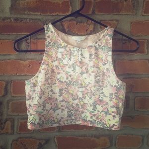 Aritzia (Talula) Crop Top
