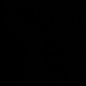 Meet your Posher, Pat