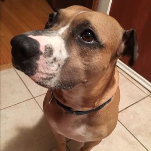 Meet your Posher, Sean