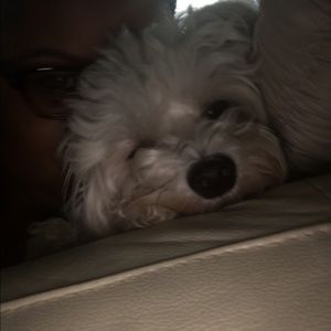 Meet your Posher, Lillian