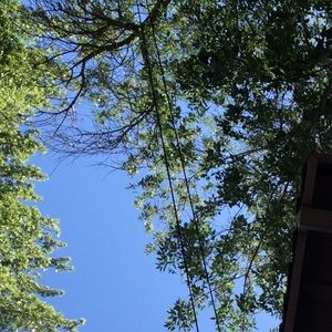 Meet your Posher, Yuridia