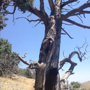 Meet your Posher, Talia