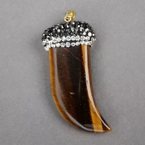 Horn Tiger's Eye Pave Charm